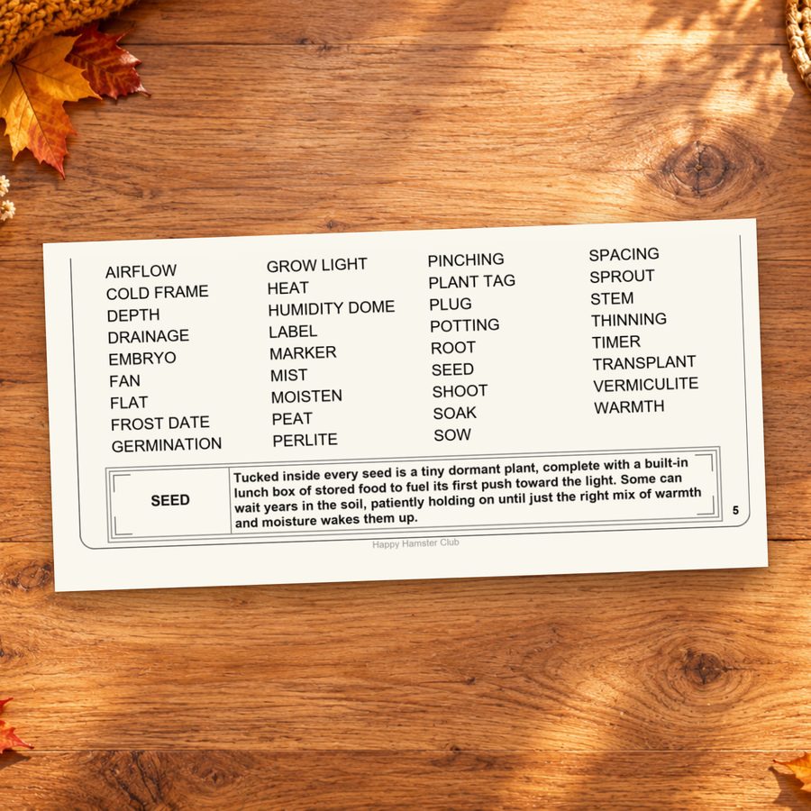 Printed word list and Word Spotlight from Seed Starting.