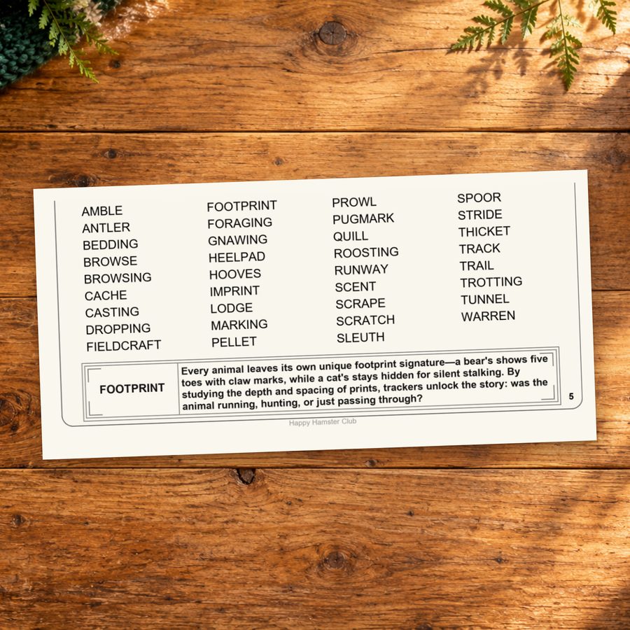 Printed word list and Word Spotlight from Animal Tracks and Signs.
